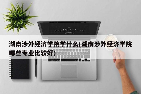 湖南涉外经济学院学什么(湖南涉外经济学院哪些专业比较好)