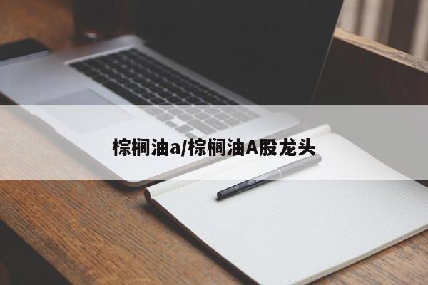 棕榈油a/棕榈油A股龙头