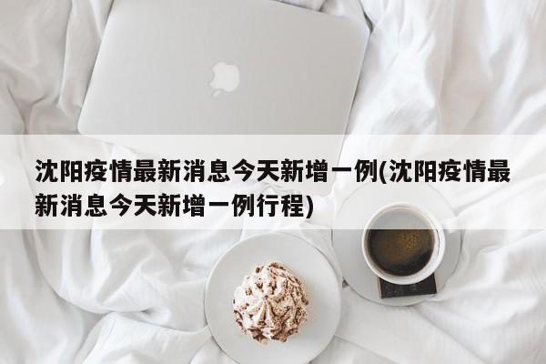 沈阳疫情最新消息今天新增一例(沈阳疫情最新消息今天新增一例行程)