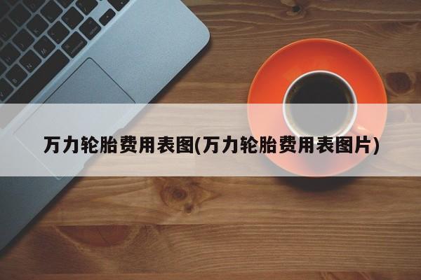 万力轮胎费用表图(万力轮胎费用表图片)