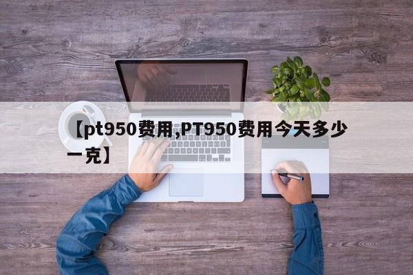 【pt950费用,PT950费用今天多少一克】