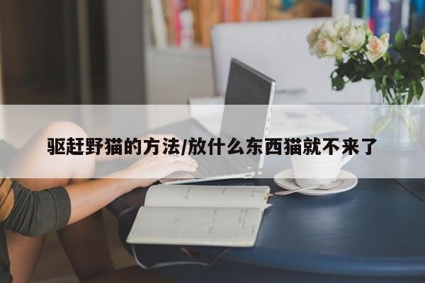 驱赶野猫的方法/放什么东西猫就不来了