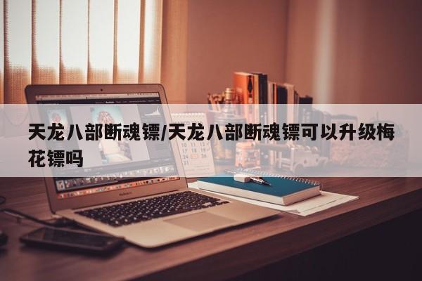 天龙八部断魂镖/天龙八部断魂镖可以升级梅花镖吗