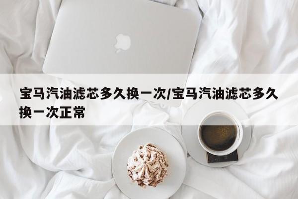 宝马汽油滤芯多久换一次/宝马汽油滤芯多久换一次正常
