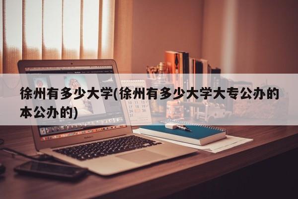 徐州有多少大学(徐州有多少大学大专公办的本公办的)