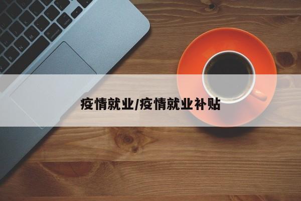 疫情就业/疫情就业补贴