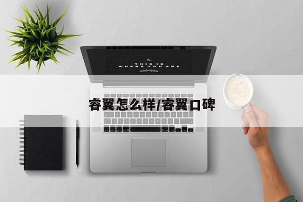 睿翼怎么样/睿翼口碑