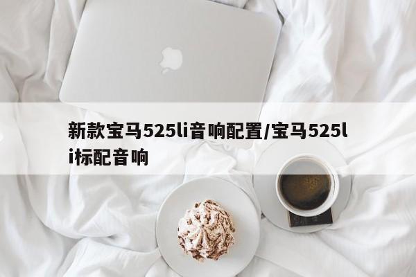 新款宝马525li音响配置/宝马525li标配音响