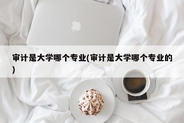 审计是大学哪个专业(审计是大学哪个专业的)