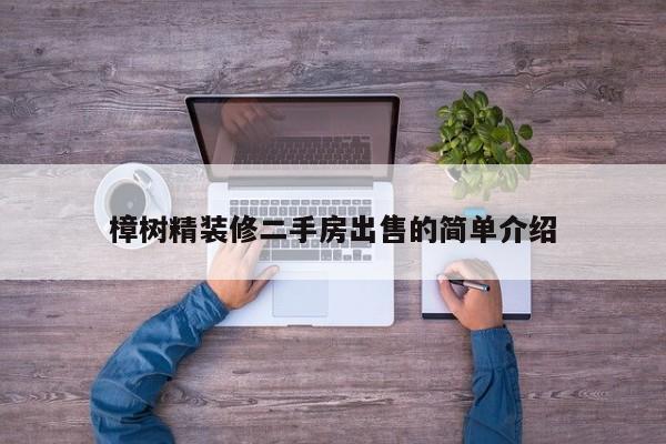 樟树精装修二手房出售的简单介绍