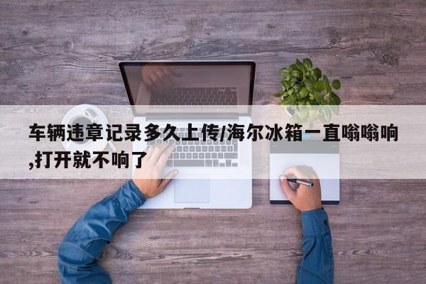 车辆违章记录多久上传/海尔冰箱一直嗡嗡响,打开就不响了
