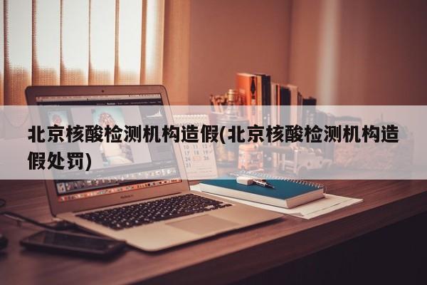 北京核酸检测机构造假(北京核酸检测机构造假处罚)