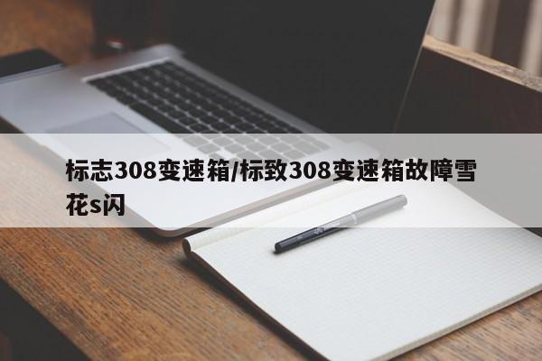 标志308变速箱/标致308变速箱故障雪花s闪
