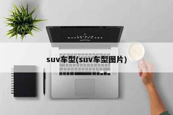 suv车型(suv车型图片)