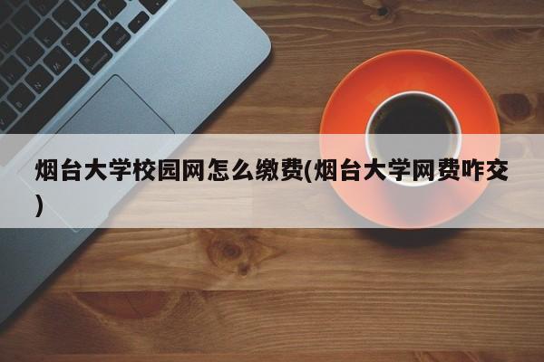 烟台大学校园网怎么缴费(烟台大学网费咋交)