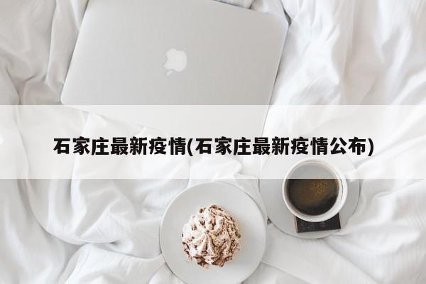 石家庄最新疫情(石家庄最新疫情公布)